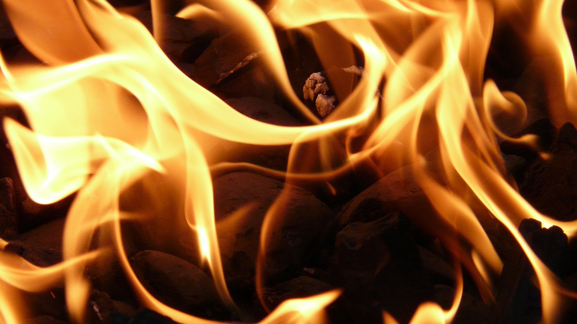 Sistema de Gestión de Calidad de Calor